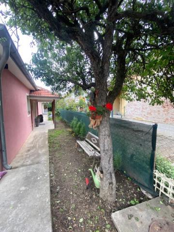 Apartman Milica Požarevac Екстериор снимка